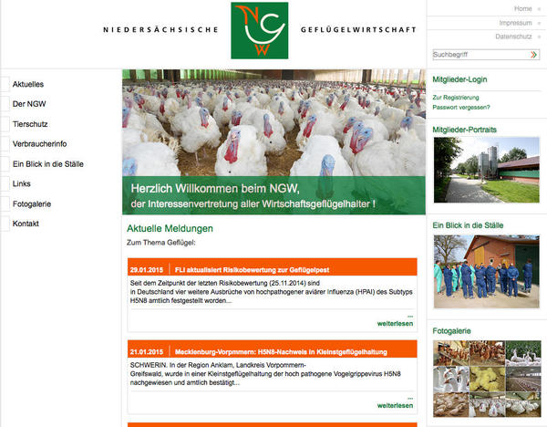 Razón suficiente para presentarse correctamente en Internet Image 1