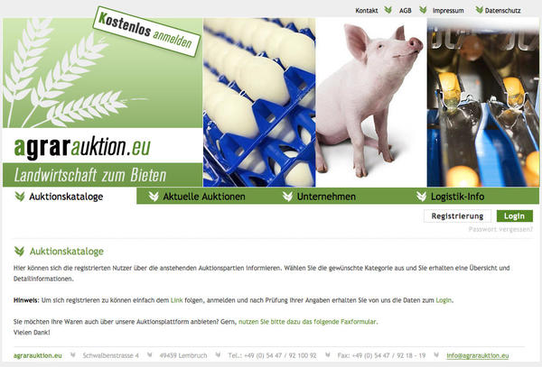 Un portal innovador Image 1