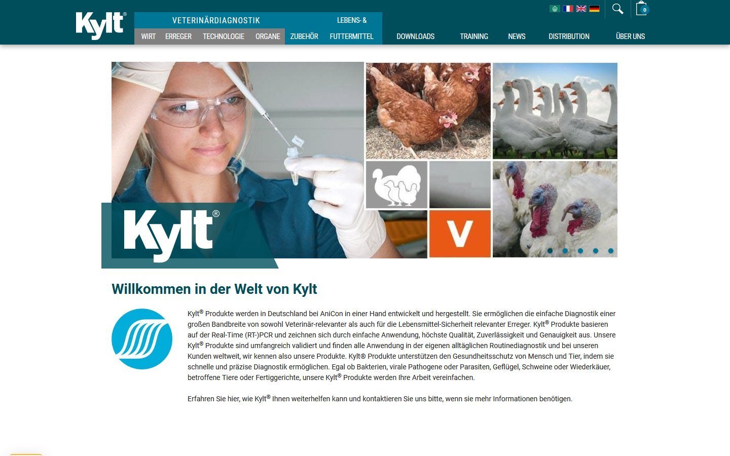 Desktop Screenshot der Website von: Kylt®