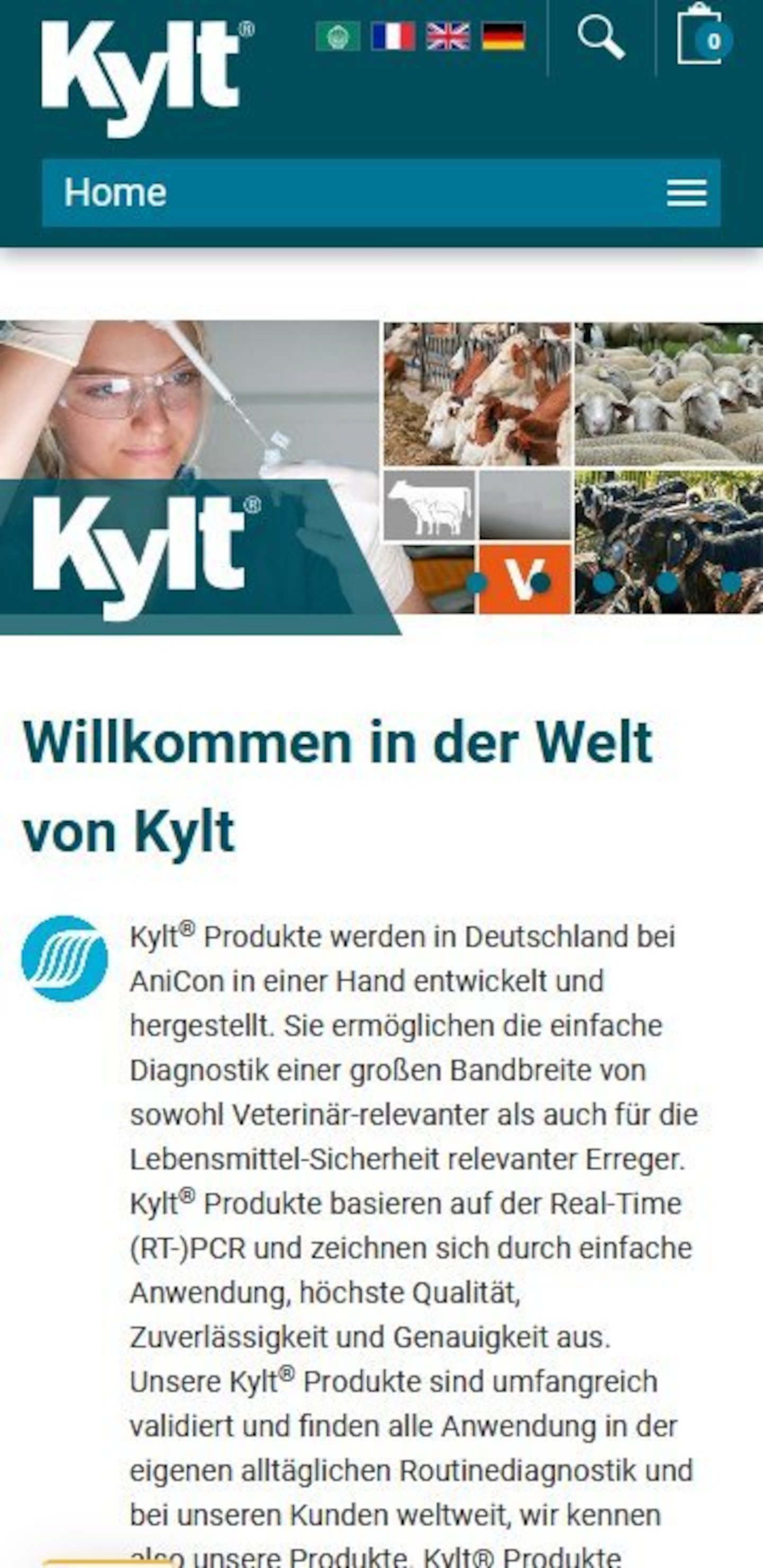 Smartphone Screenshot der Website von: Kylt®