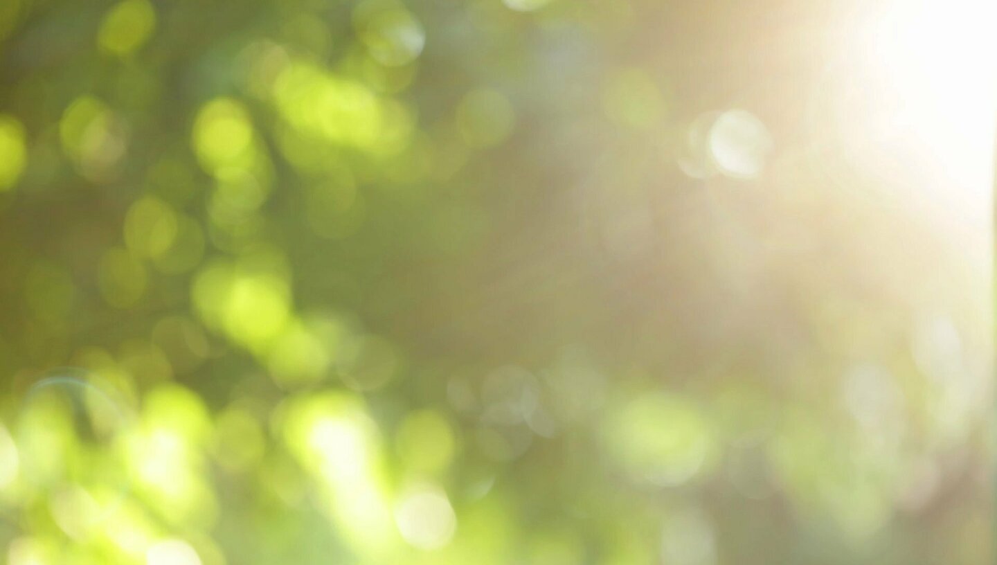 Greeen Solutions GmbH
