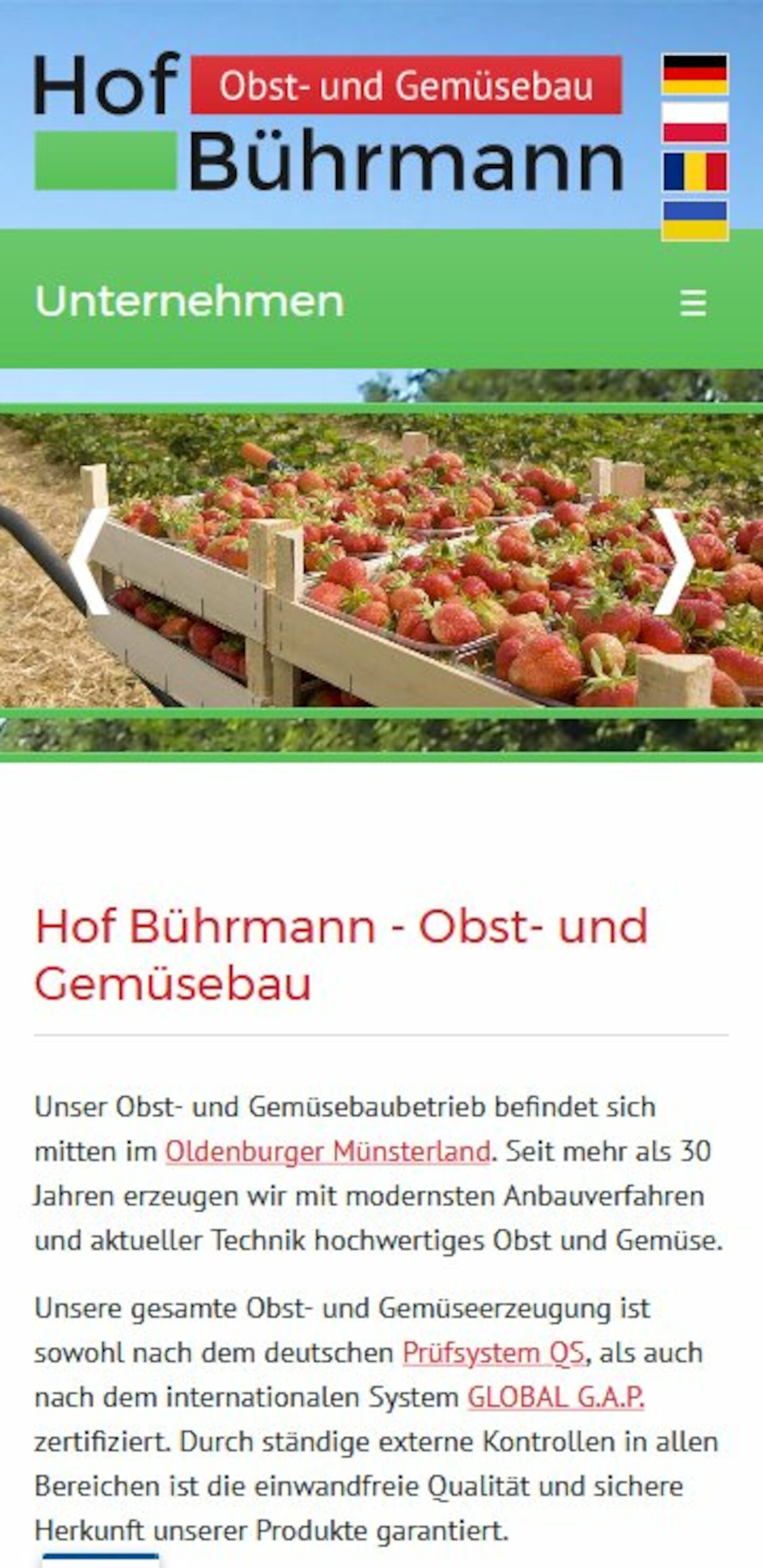 Smartphone Screenshot der Website von: Hof Bührmann