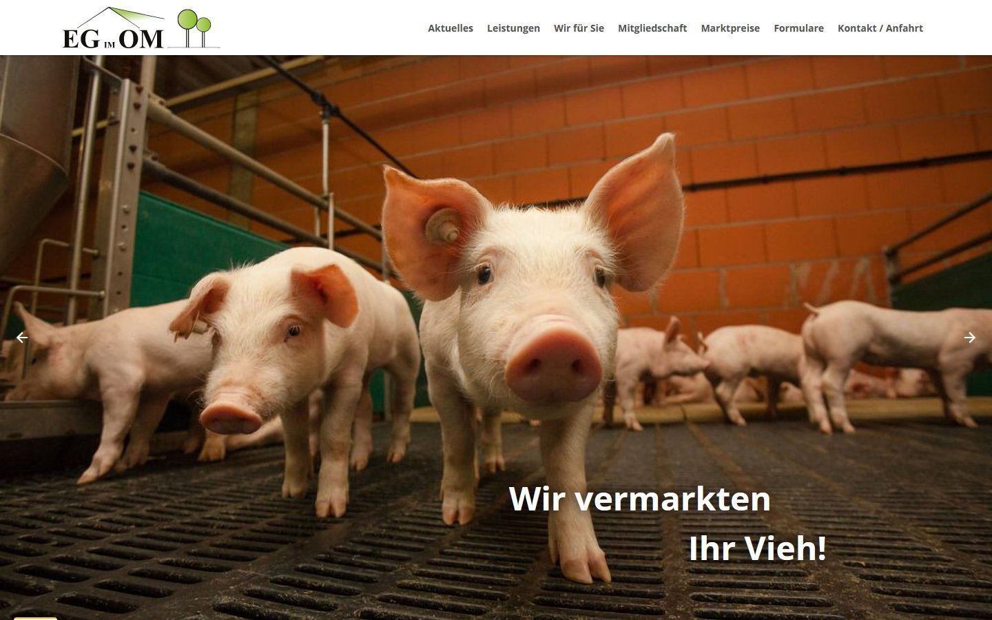 Desktop Screenshot der Website von: EG im OM