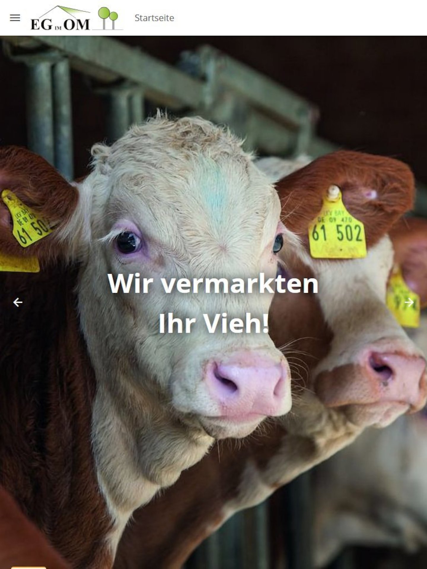 Tablet Screenshot der Website von: EG im OM