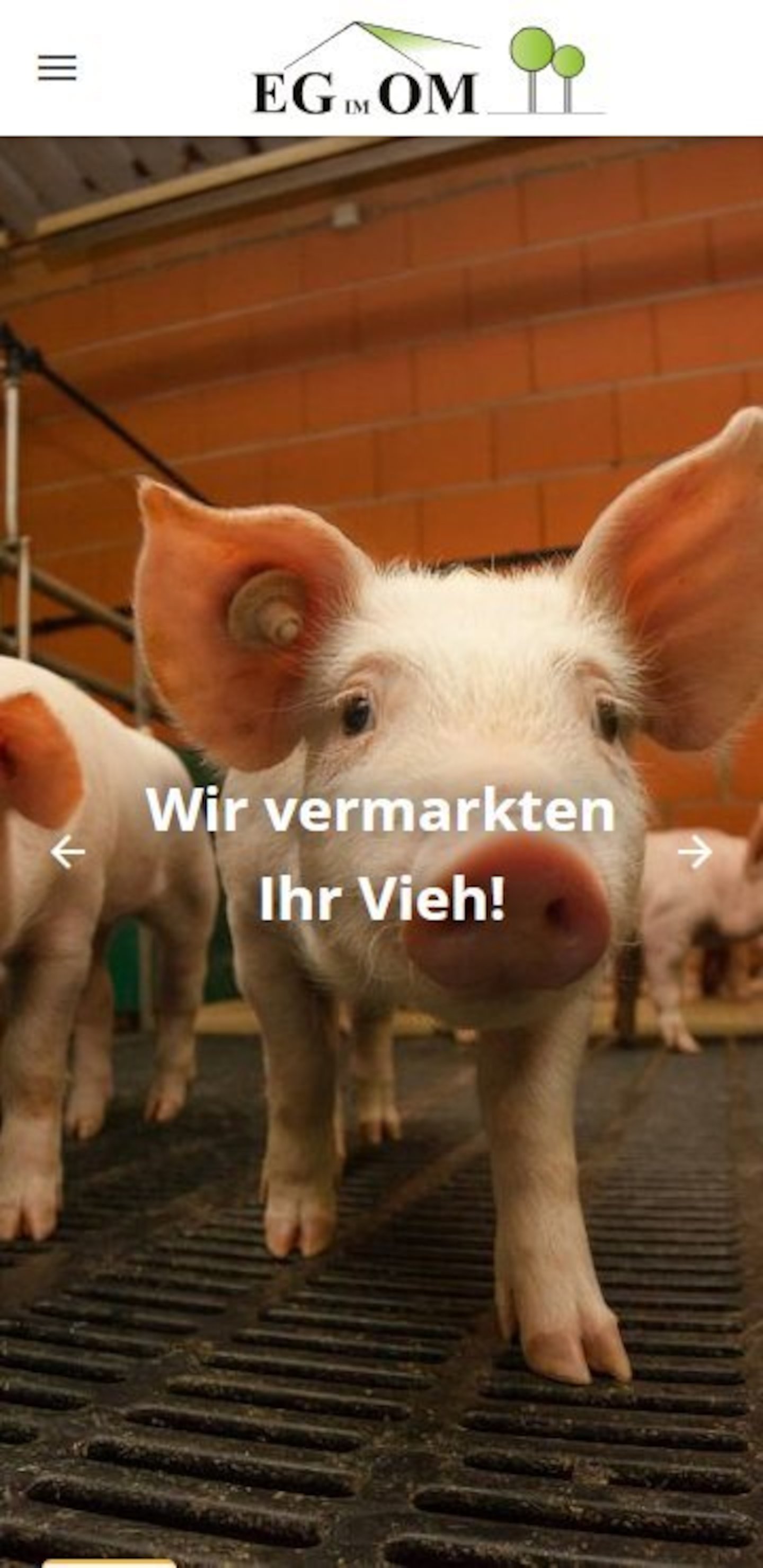 Smartphone Screenshot der Website von: EG im OM