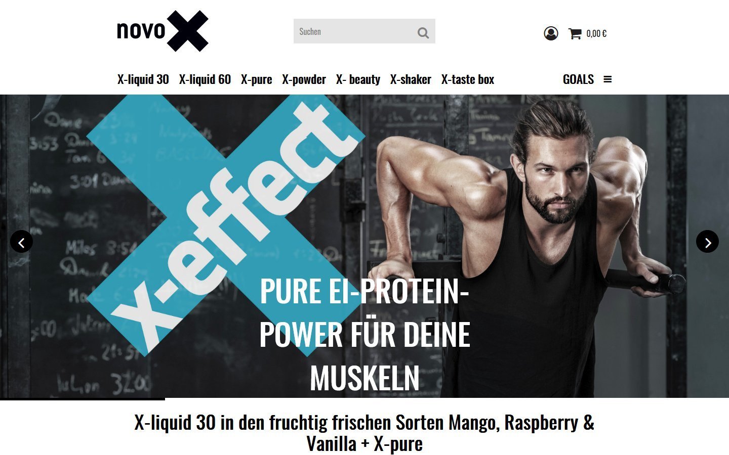 Desktop Screenshot der Website von: novo-X